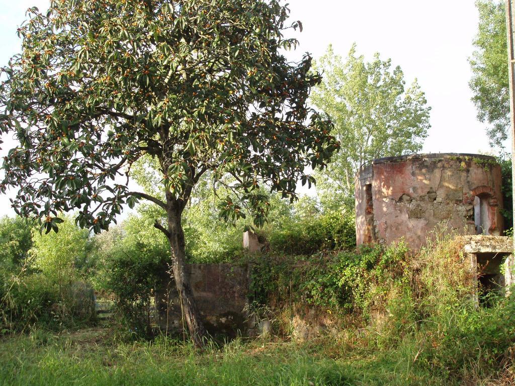 Casal Da Juge Ξενοδοχείο Torres Novas Εξωτερικό φωτογραφία