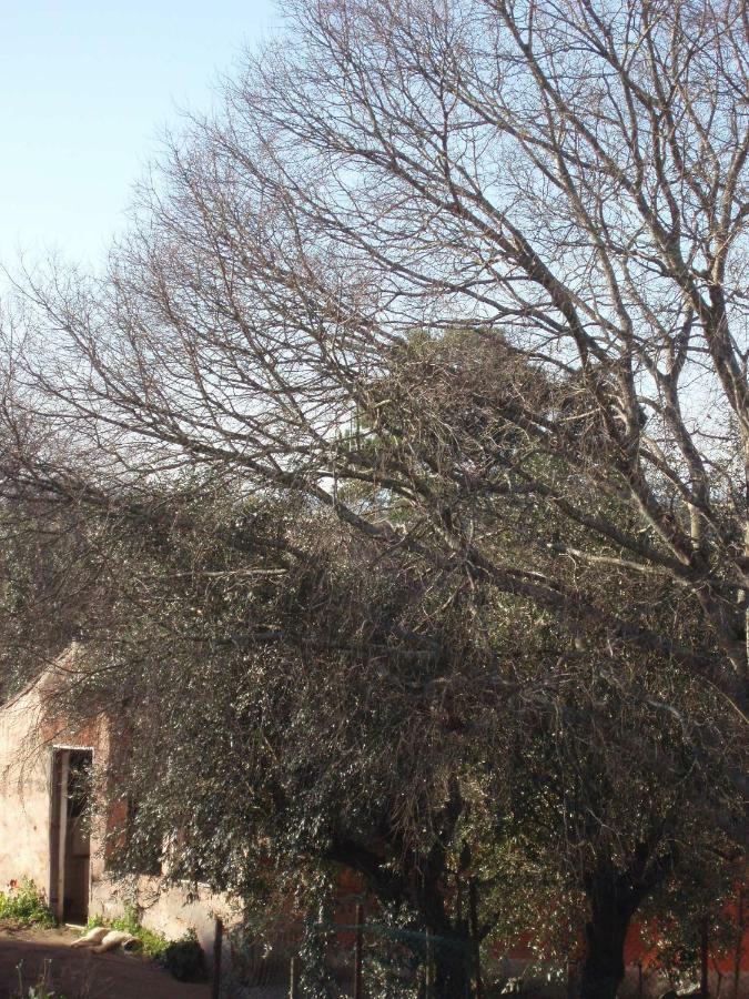 Casal Da Juge Ξενοδοχείο Torres Novas Εξωτερικό φωτογραφία